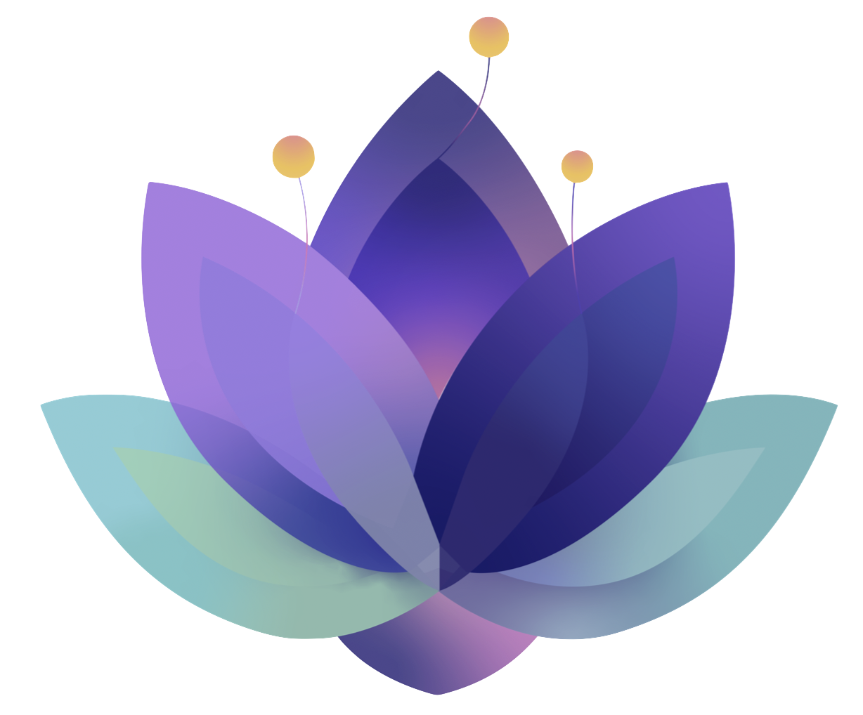 Bloomara lotus
